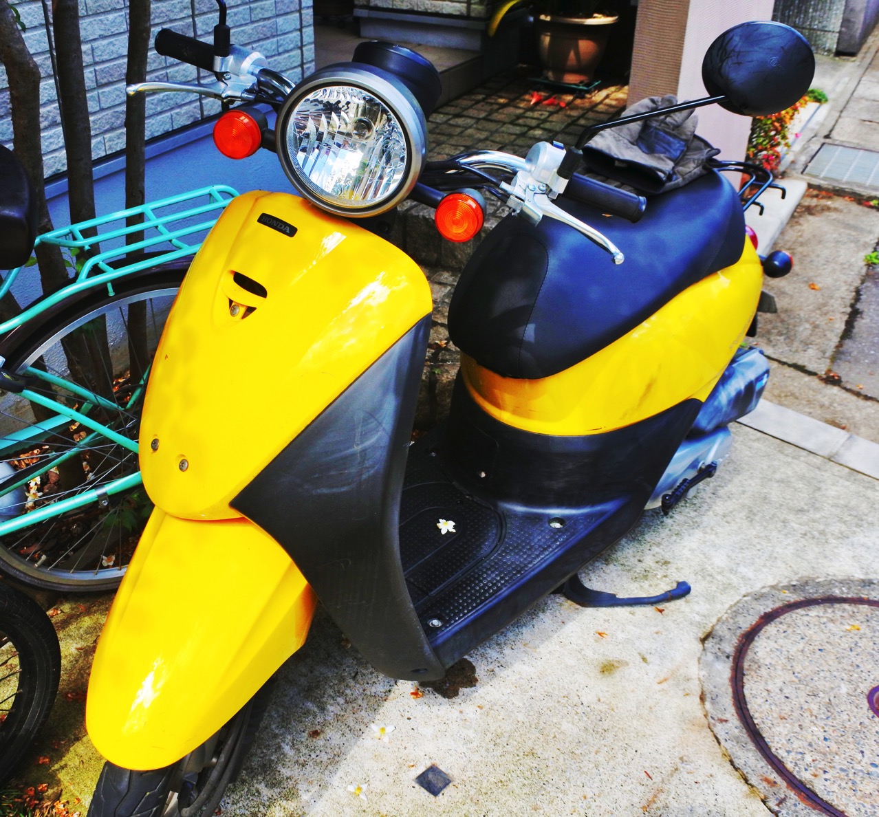 DSC_1442.jpg DSC 1442