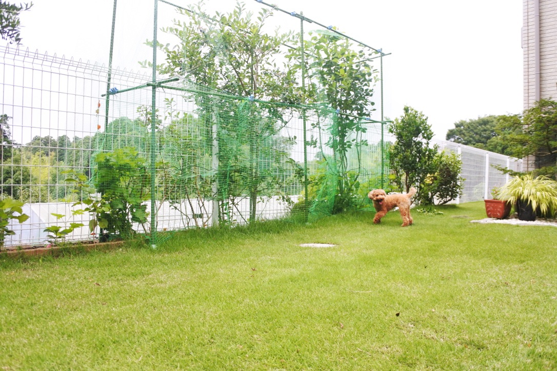 thumb_DSC_1836_1024.jpg Thumb DSC 1836 1024