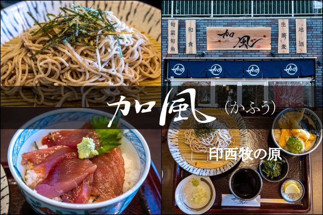 加風 印西牧の原 本格的な二八蕎麦が旨い 量 価格goodな和食店 もぐパラ