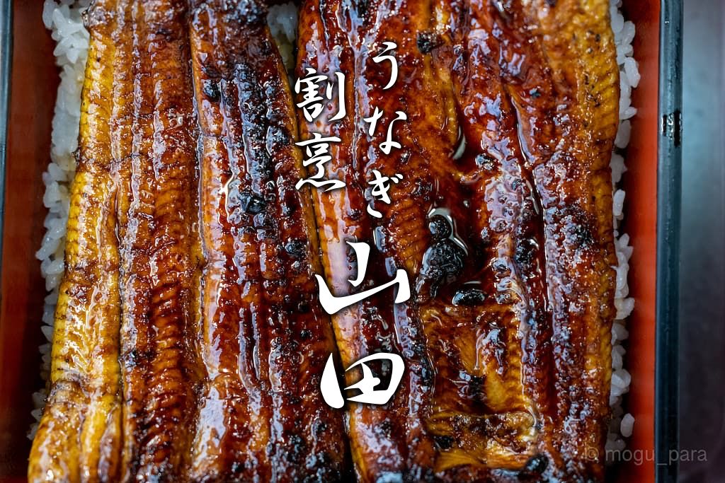 うなぎ割烹山田 紀州備長炭で焼き上げた香ばしい鰻の蒲焼 佐原 もぐパラ