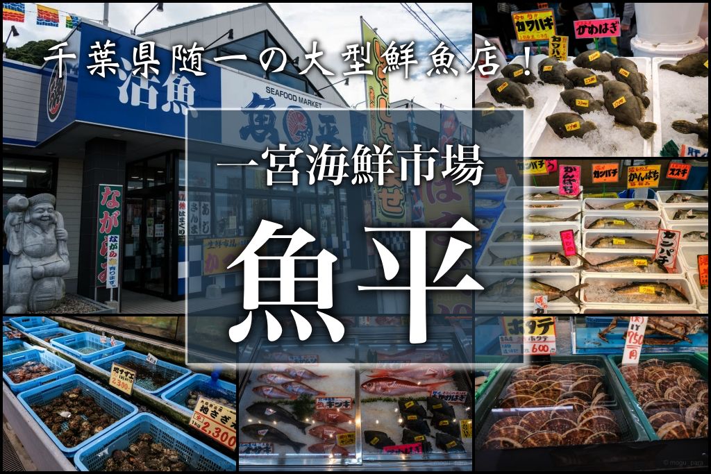 魚捌きたい人必見 魚平商店 千葉県一宮町 もぐパラ