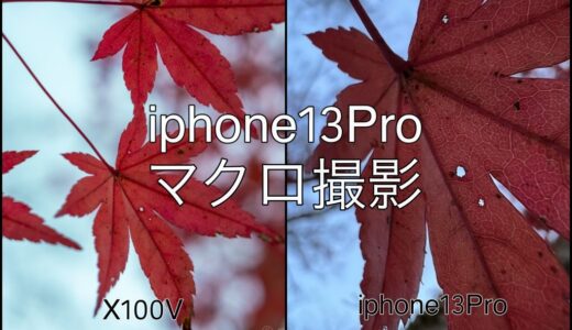【iphone13Pro】マクロ撮影の作例紹介（植物など）と気になるポイントなど【X100V】