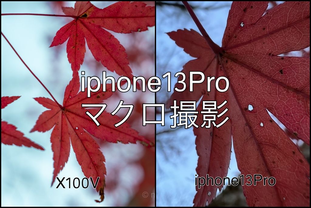 Iphone13pro マクロ撮影の作例紹介 植物など と気になるポイントなど X100v もぐパラ