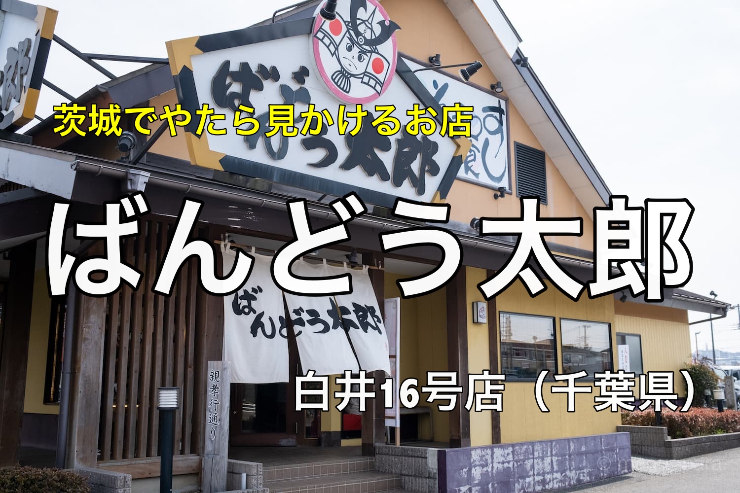 ばんどう太郎 茨城県民ご愛好の和食レストランへ初訪問 もぐパラ